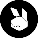 RabbitOS Intern